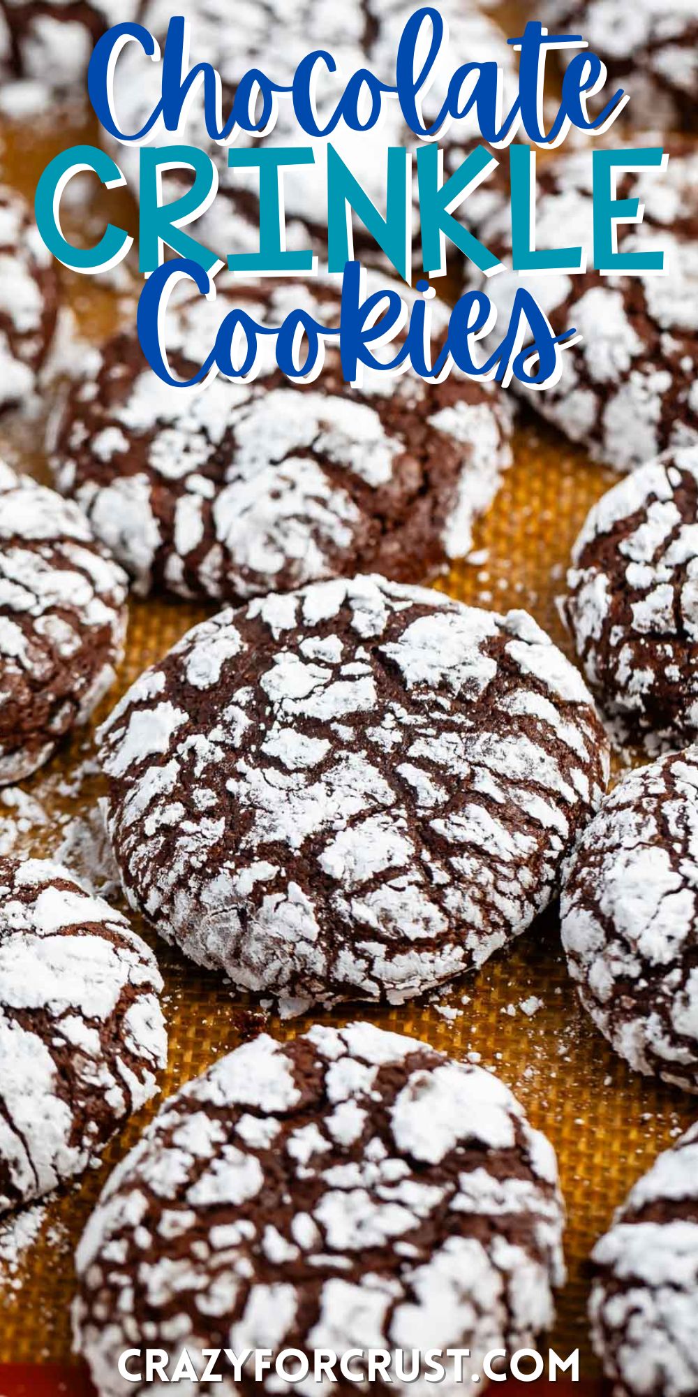 chocolate crinkle cookies covered in powdered sugar with words on the image.