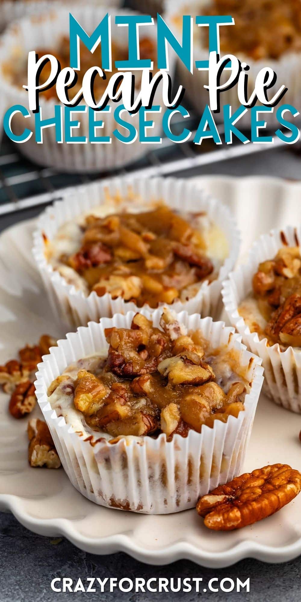 mini pecan pie cheesecake in a white cupcake wrapper with words on the image.