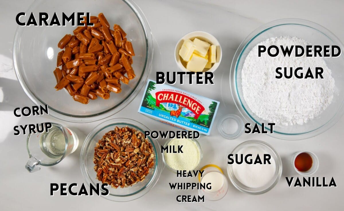 ingredients in pecan logs laid out on a marble counter.