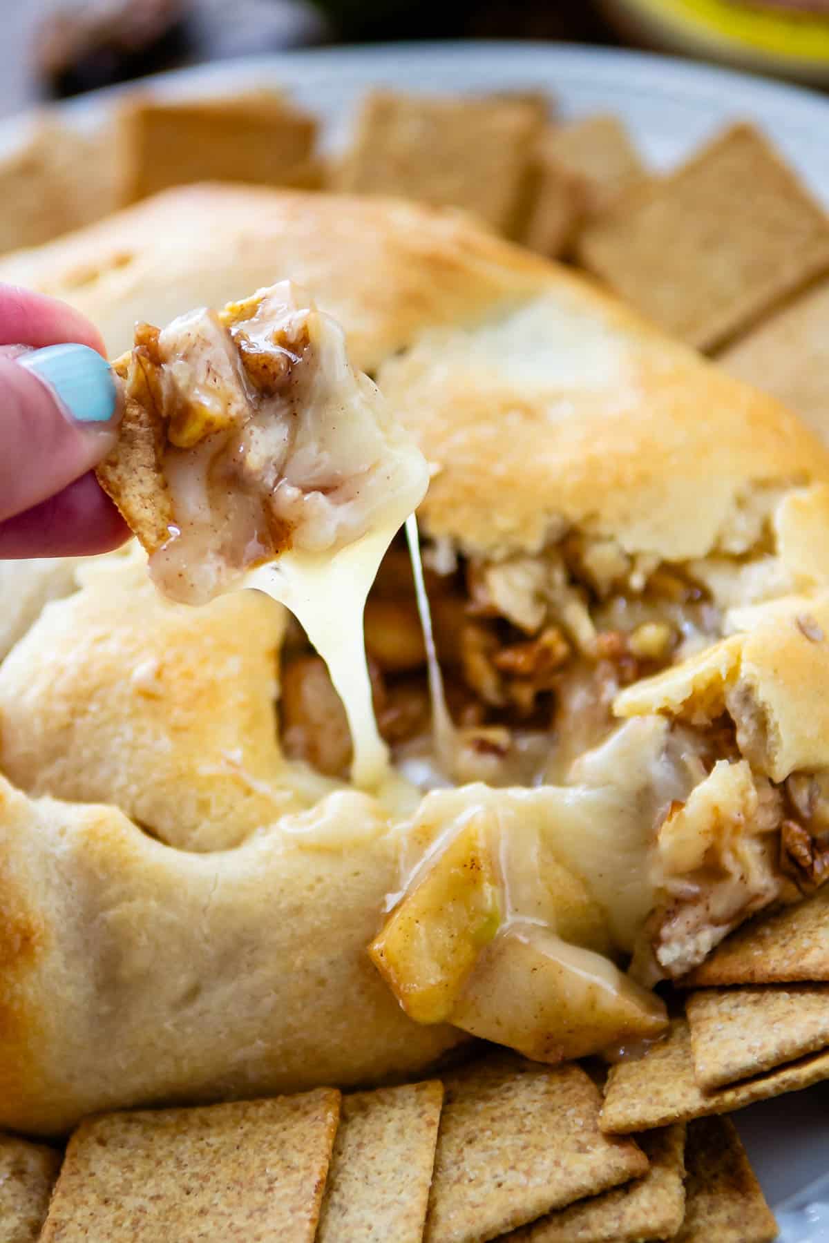 hand holding cracker that's scooping baked brie out from the crust.