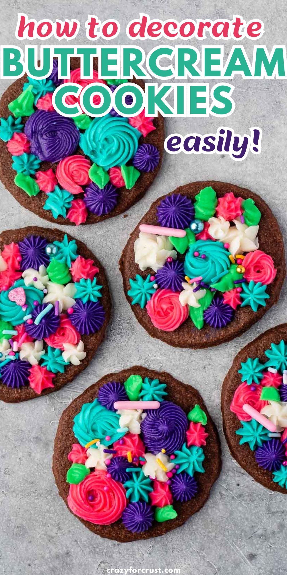 chocolate sugar cookies decorated with bright frosting