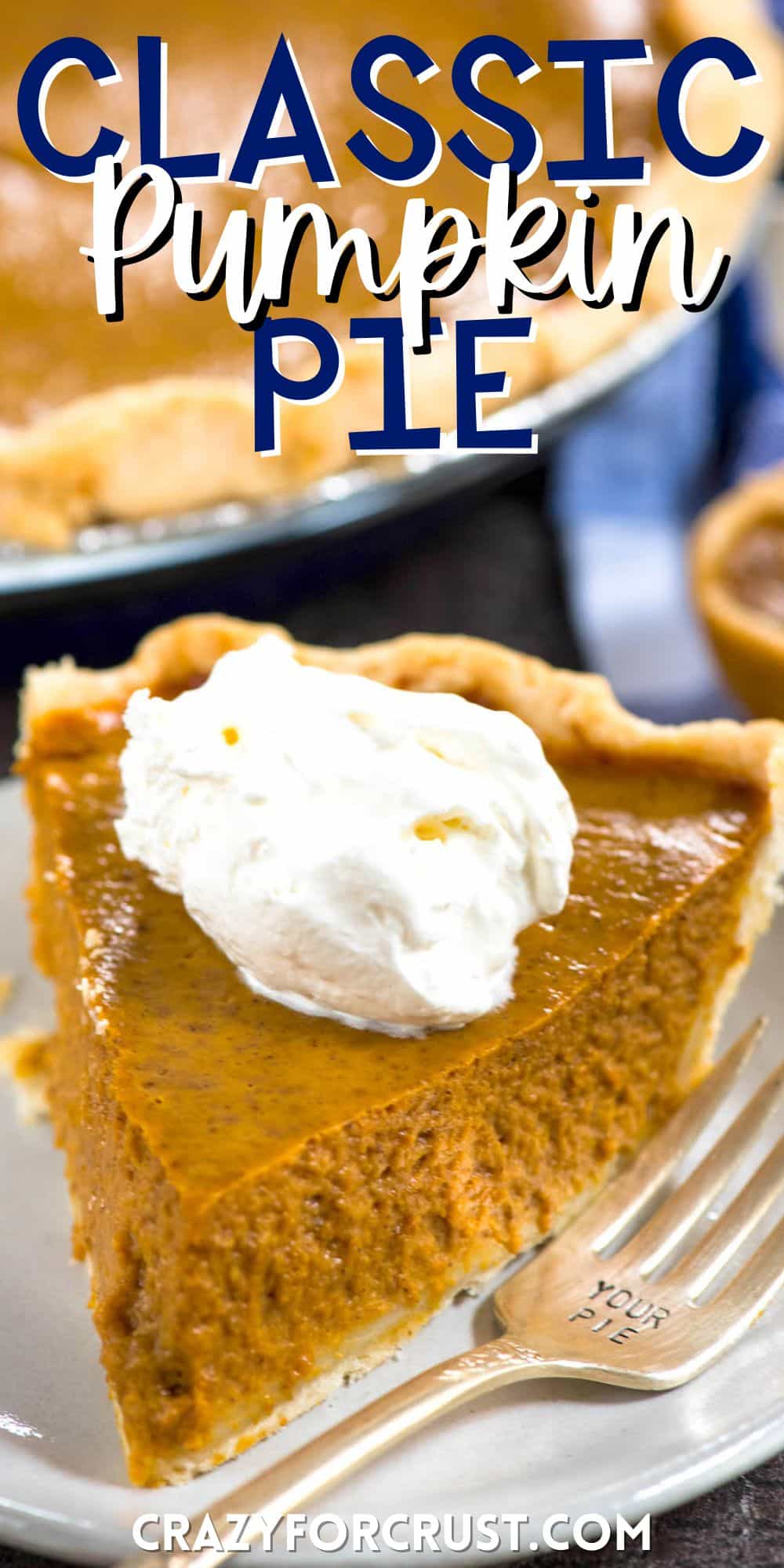 one triangle slice of pumpkin pie with a dollop of whipped cream on a white plate with words on the image.
