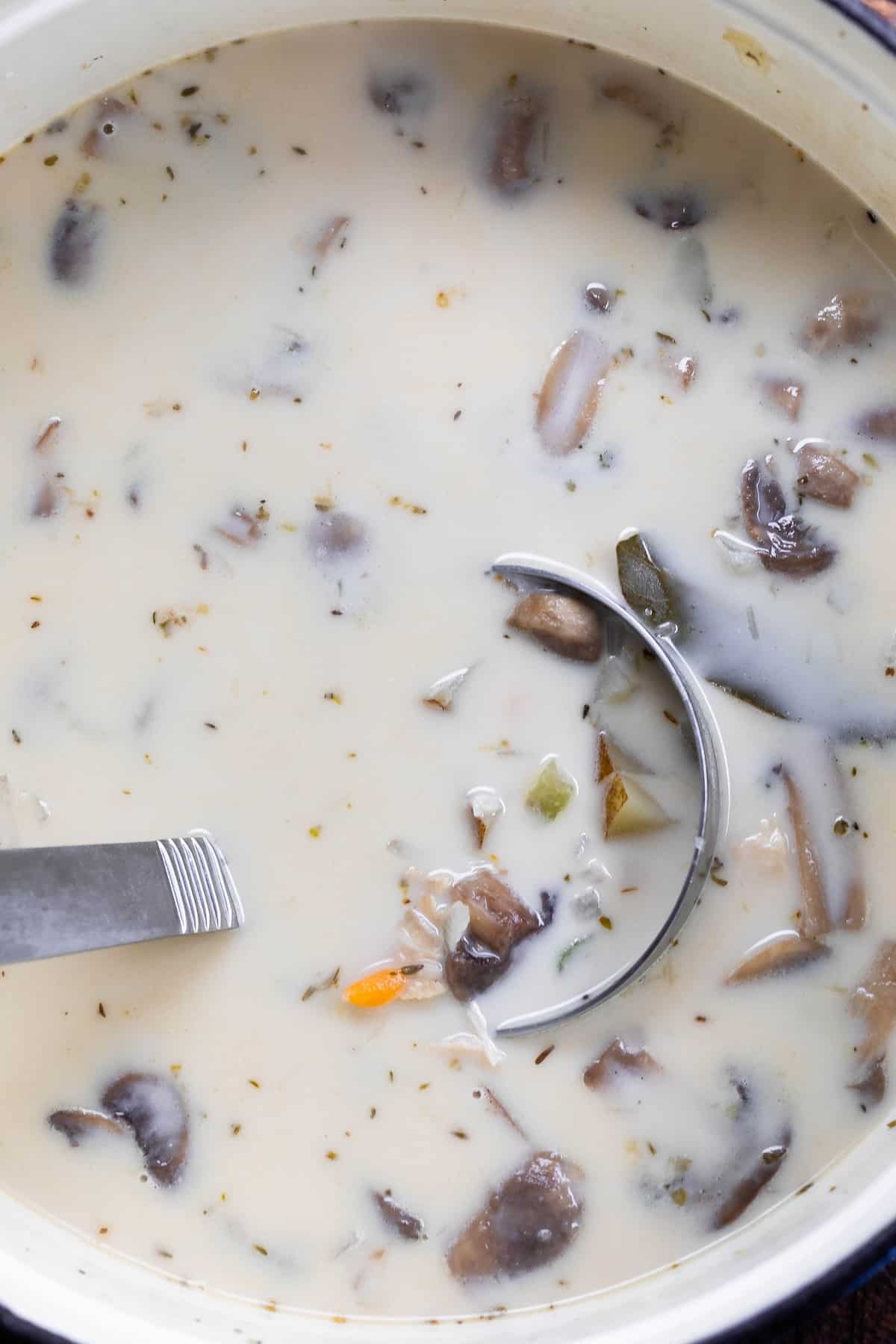 soup in a big white bowl with a latel scooping some soup up.