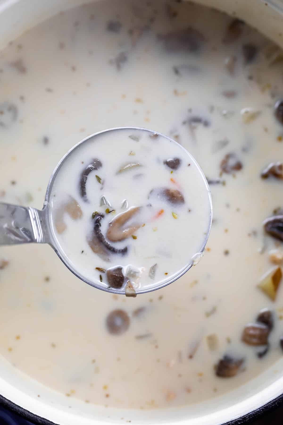 soup in a big white bowl with a latel scooping some soup up.