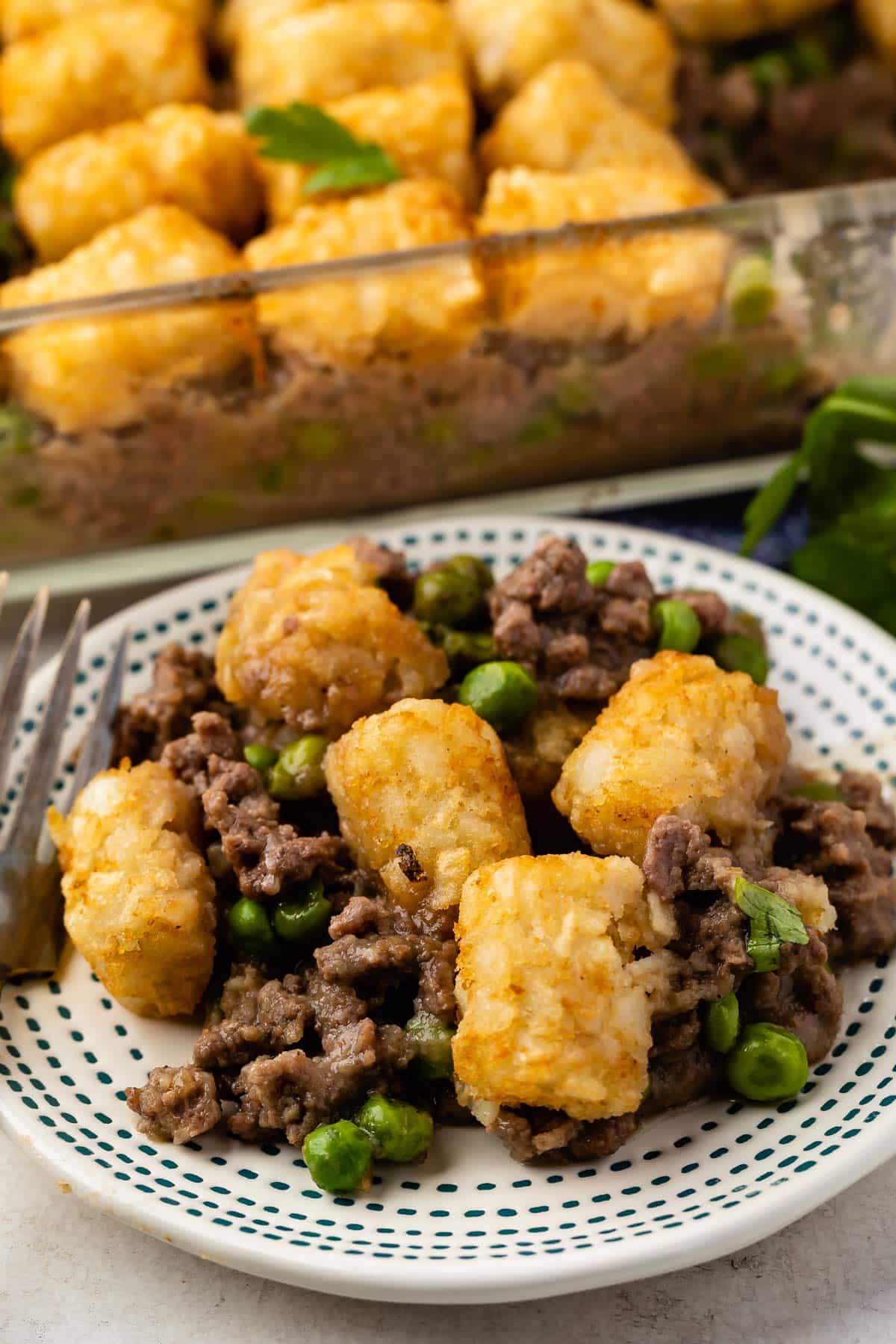 meat casserole with tater tots layered on top on a white plate.