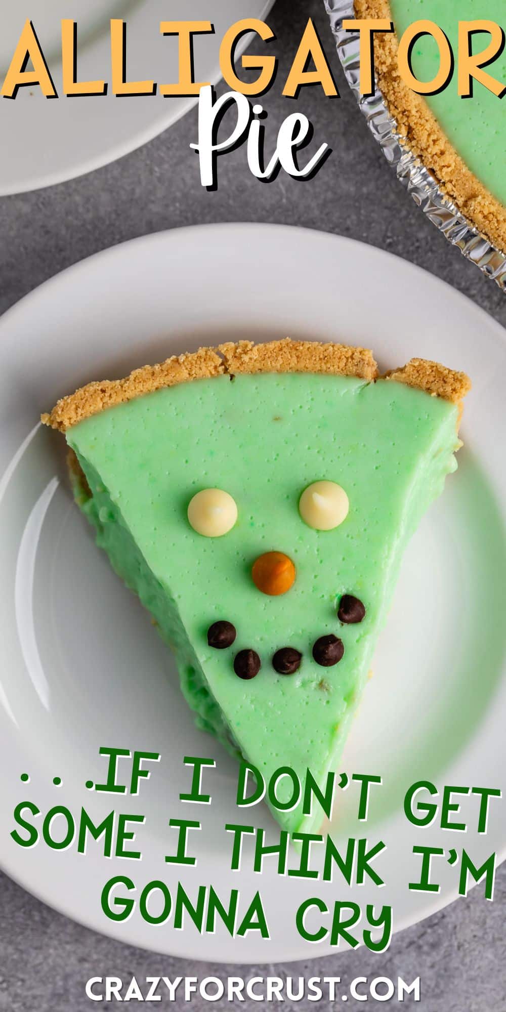 green alligator pie with chocolate chips on top making it a face on a white plate with words on the image.