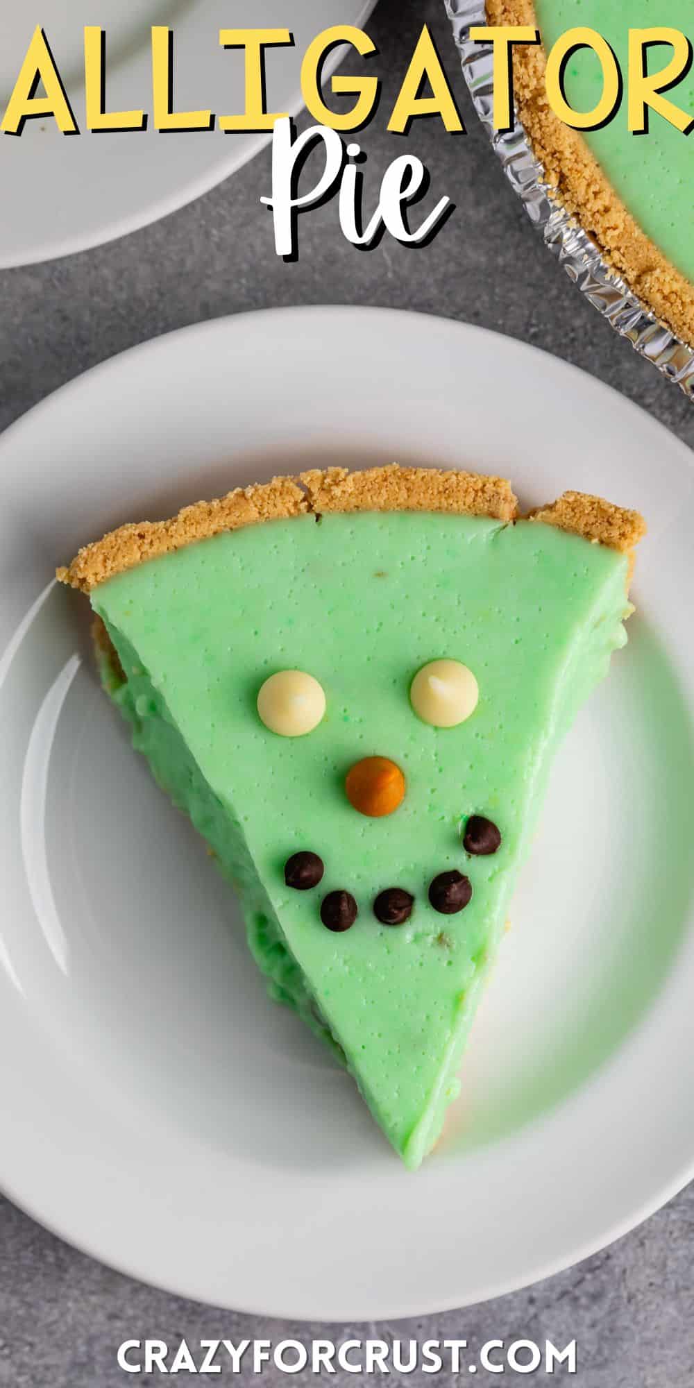green alligator pie with chocolate chips on top making it a face on a white plate with words on the image.