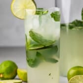 mojito in a tall clear glass with sliced limes in and around the glass with mint.