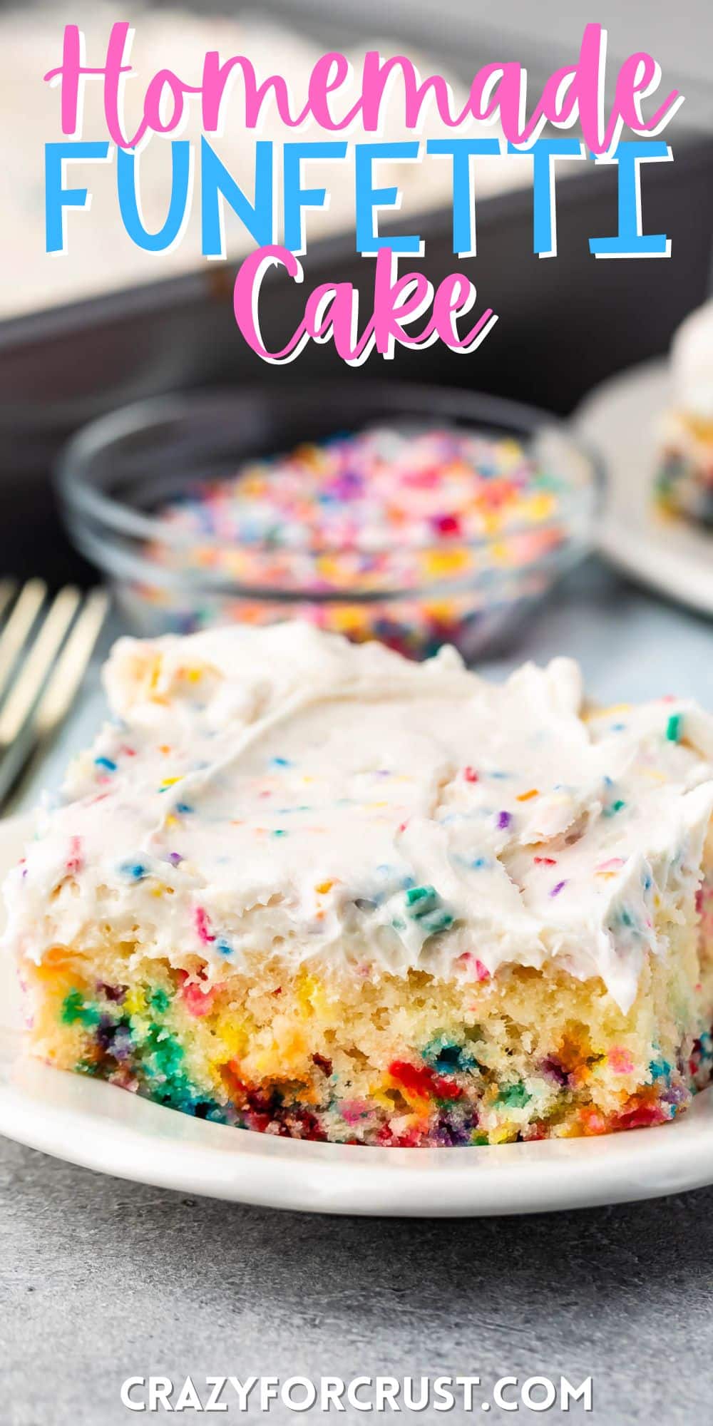 white cake with colorful sprinkles baked in and white frosting with more sprinkles mixed in on top with words on the image.