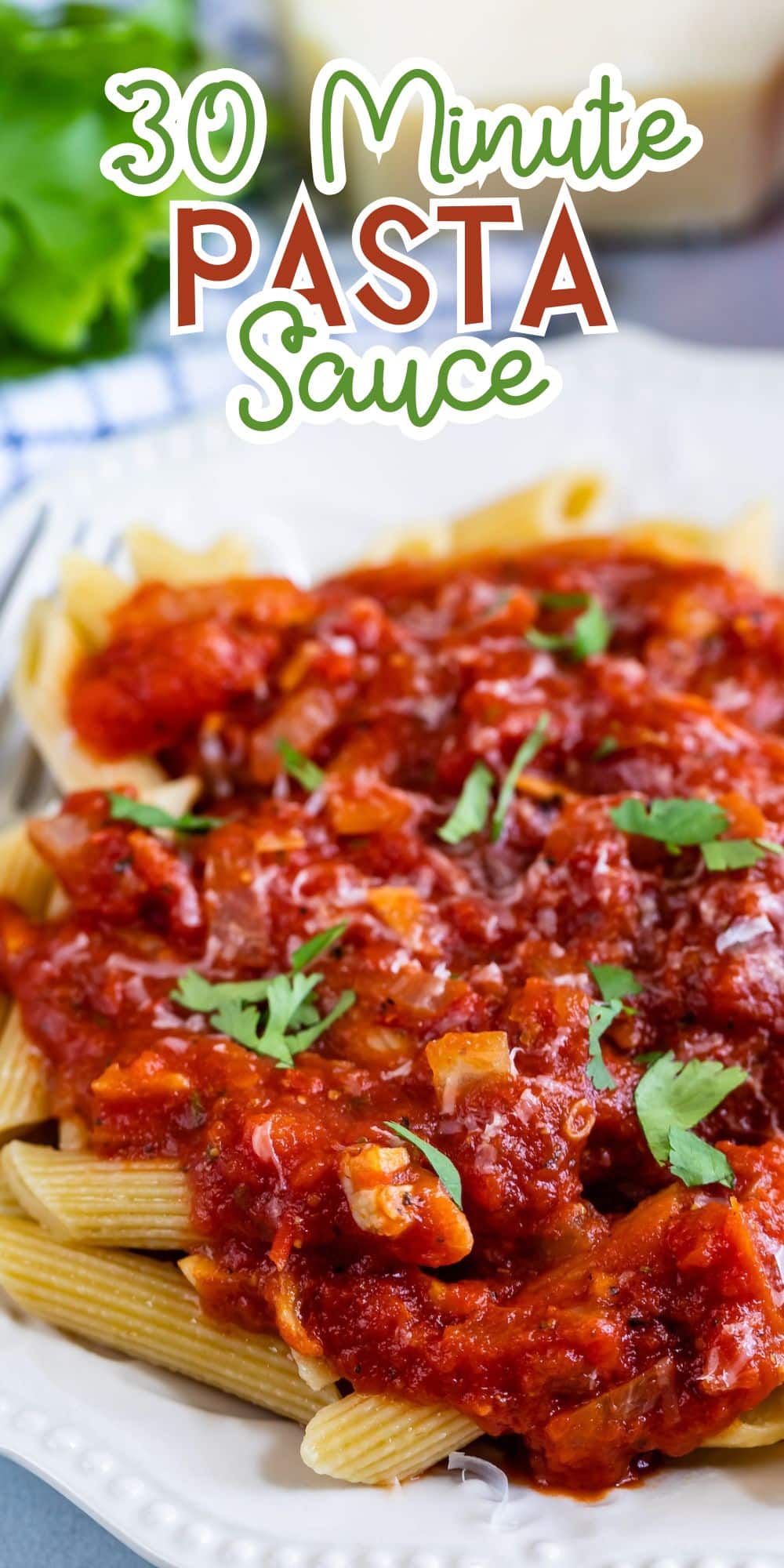 A plate of pasta topped with vibrant red sauce garnished with herbs. Text above the dish reads 30 Minute Pasta Sauce in decorative fonts. The background shows a blurred hint of greenery and kitchen items.