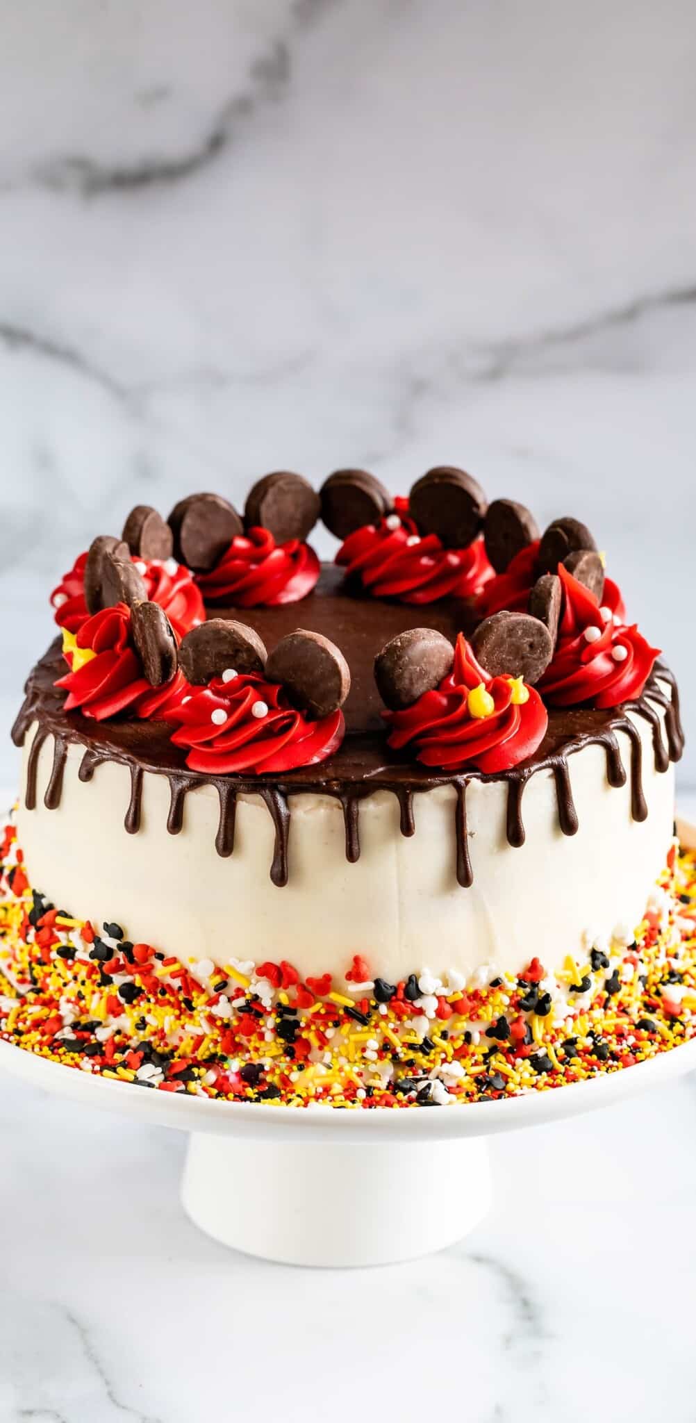 A decorated cake with white frosting, chocolate ganache dripping down the sides, red rosettes topped with chocolate candies, and colorful red, yellow, black, and orange sprinkles around the base.
