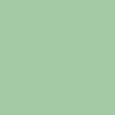A solid pale green background with no visible patterns, objects, or text.