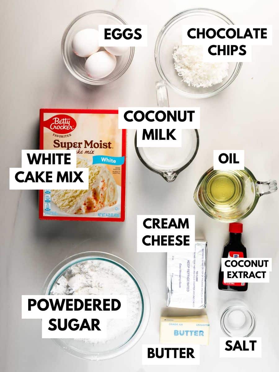 Top-down view of labeled baking ingredients: eggs, chocolate chips, coconut milk, white cake mix, oil, cream cheese, coconut extract, powdered sugar, butter, and salt on a white background.