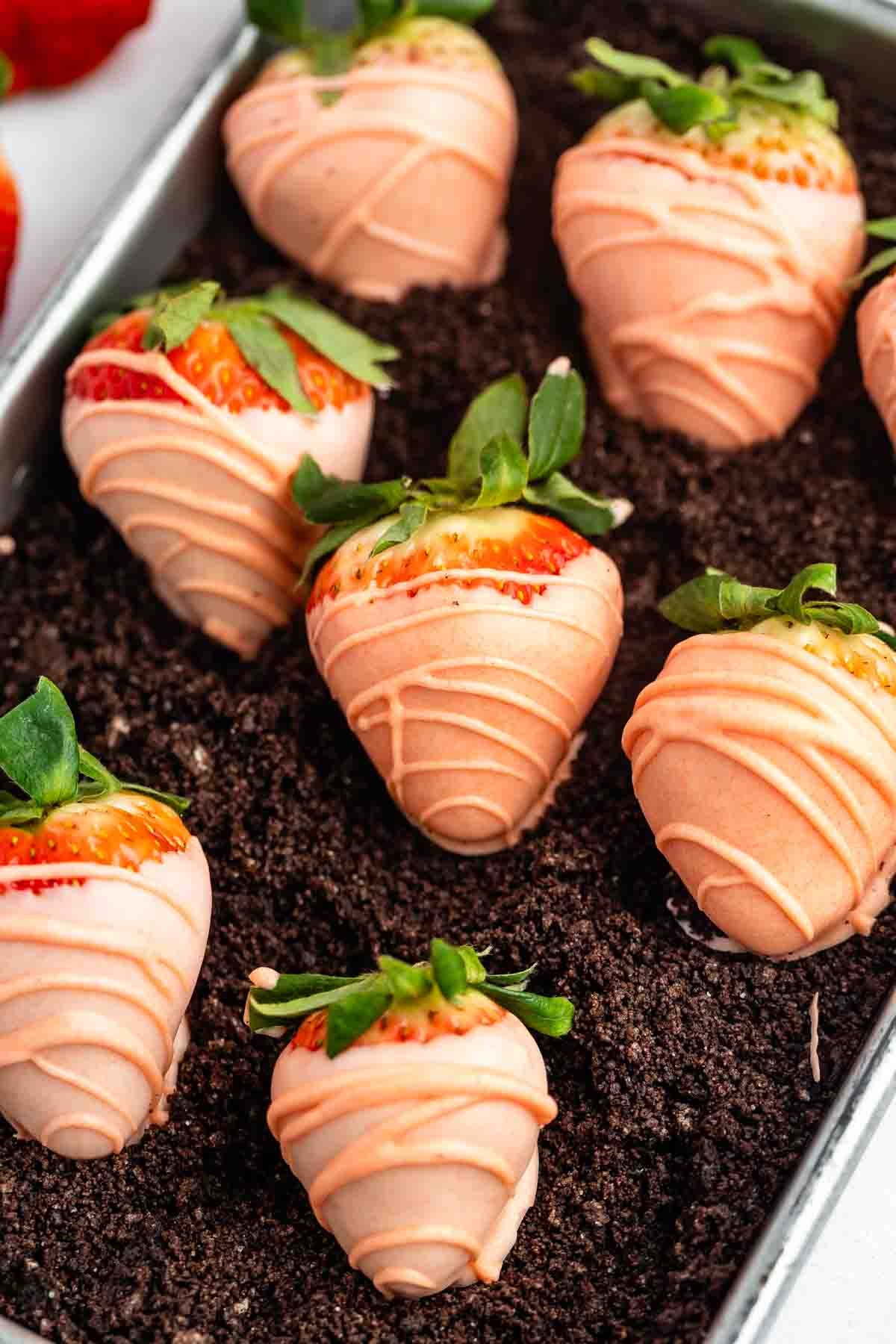 Strawberries dipped in light pink chocolate with a drizzle design, arranged on a bed of crumbled chocolate cookie crumbs in a metal tray.