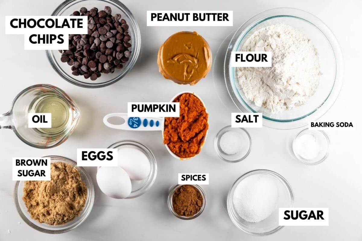 Various baking ingredients in bowls and cups are arranged on a white surface, each labeled: chocolate chips, peanut butter, flour, oil, brown sugar, eggs, pumpkin, spices, salt, baking soda, and sugar.