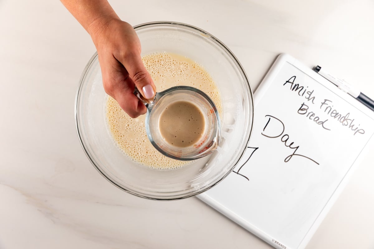 A hand pours liquid starter from a measuring cup into a glass bowl. A whiteboard nearby reads Amish Friendship Bread Day 1. The bowl sits on a white surface.