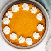 A pumpkin cheesecake on a scalloped white plate, decorated with a ring of whipped cream rosettes.