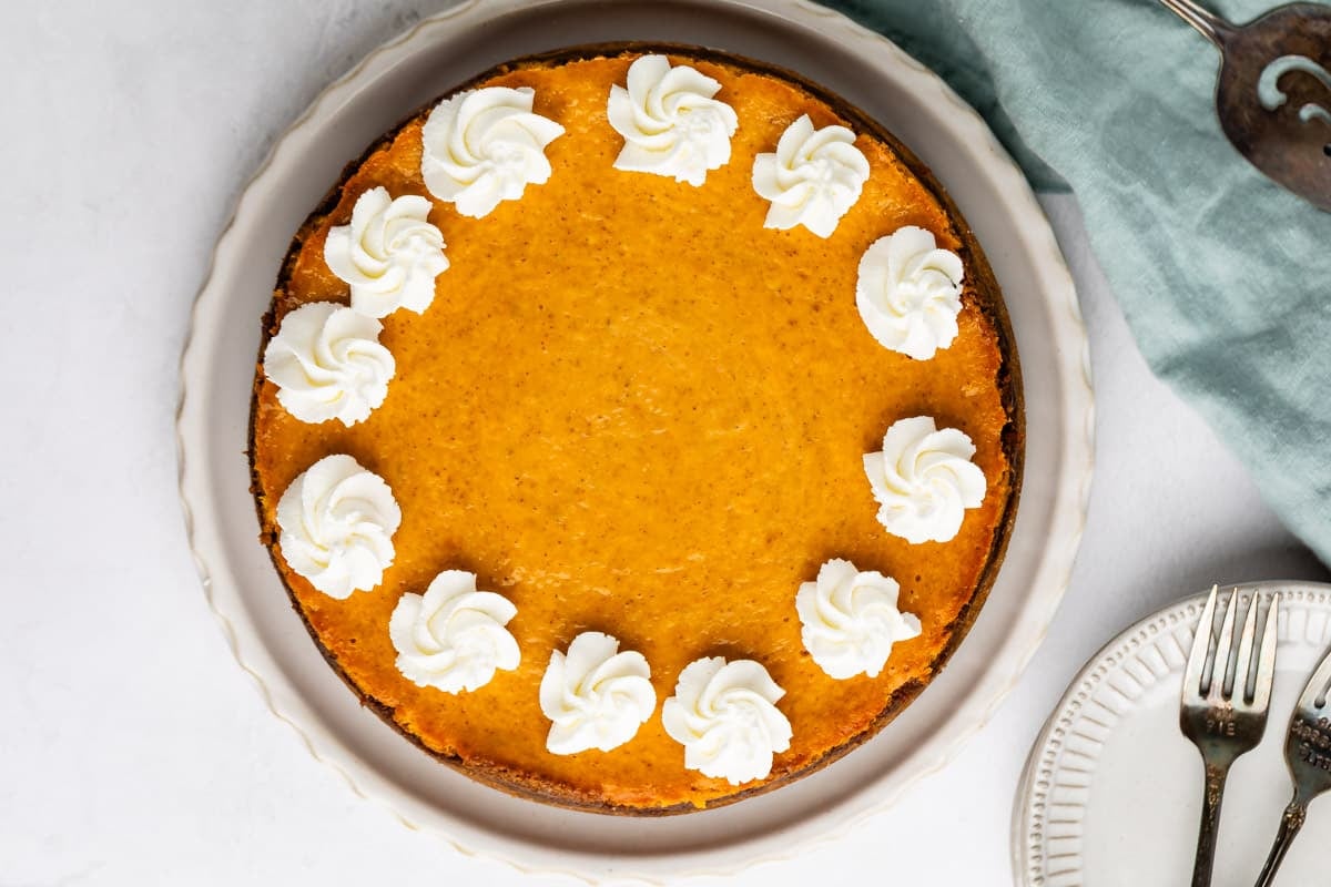 A pumpkin cheesecake on a scalloped white plate, decorated with a ring of whipped cream rosettes.