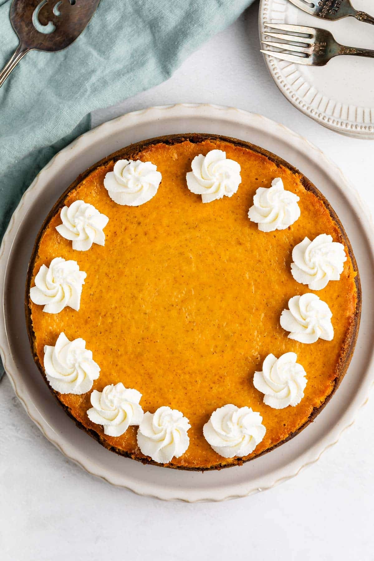 A pumpkin pie on a plate, topped with a ring of whipped cream rosettes.